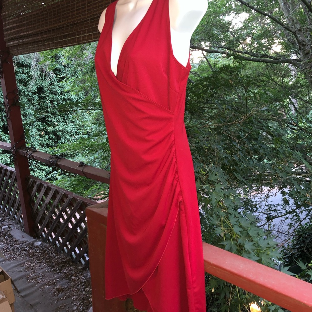 Red Dress - Picture 6 of 8